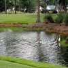 Myrtle Beach National- West